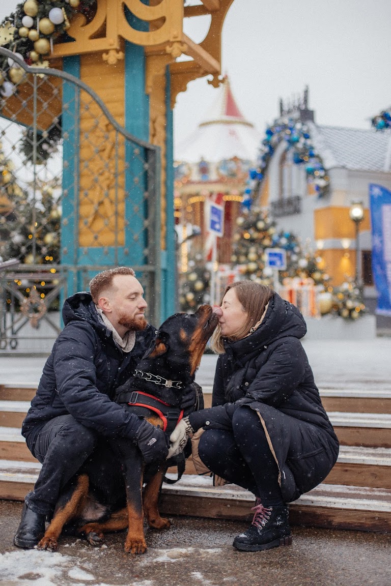 A couple sitting on a snowy bench with a Rottweiler between them.